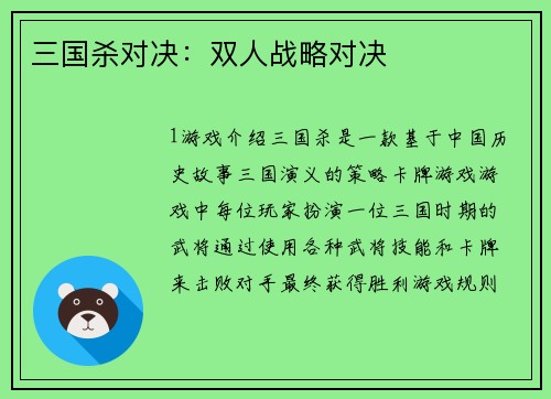 三国杀对决：双人战略对决